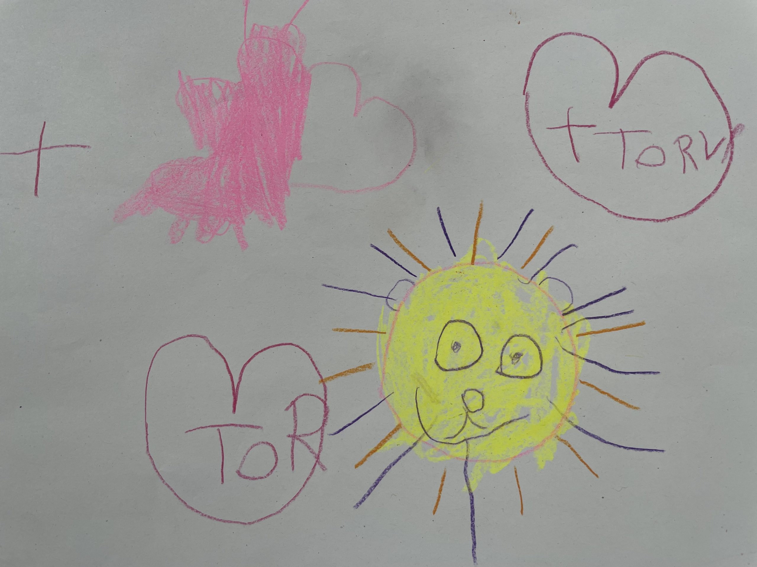 Sonderpreis: Torvi Rose (3 Jahre)