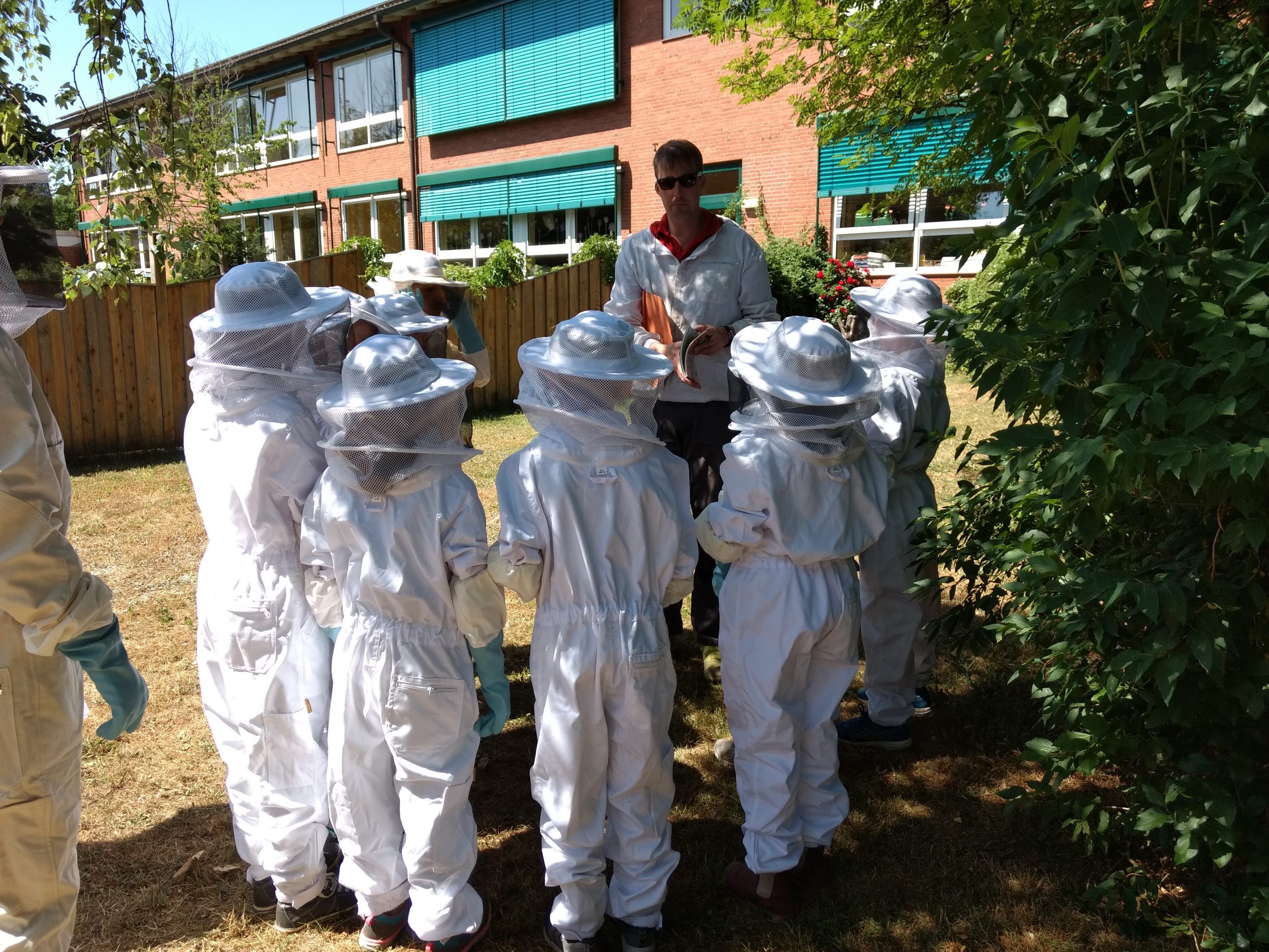 Bienenvolk in farbenfroher Beute